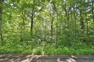 Fantastic up north property offering the perfect location to - photo 4