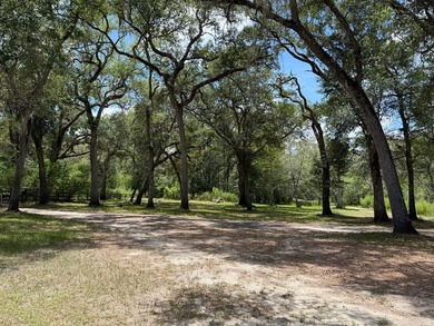 Wake up to breathtaking views of the Suwannee River from this - photo 2