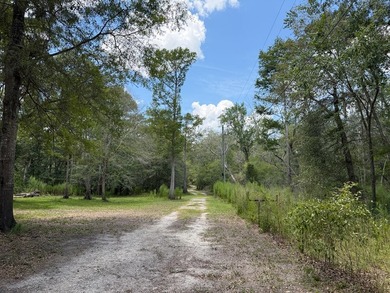 Wake up to breathtaking views of the Suwannee River from this - photo 4