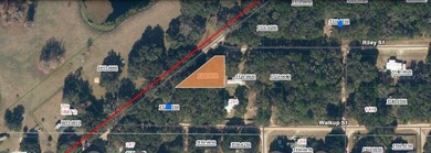 Lake Grandin Lot For Sale in Interlachen Florida