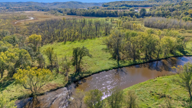 Buffalo County Riverfront Hunting Land for Sale - photo 17
