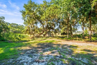 Welcome to your own private Lowcountry retreat in Salem Point - photo 43
