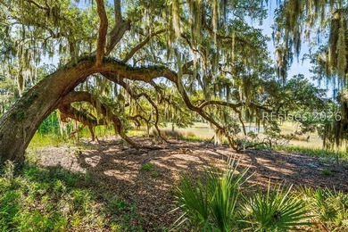 Welcome to your own private Lowcountry retreat in Salem Point - photo 44