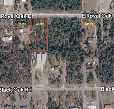Open lot in Leisure Retreats near Keaton Beach. Suitable to - photo 3