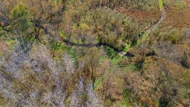 Buffalo County Riverfront Hunting Land for Sale - photo 19