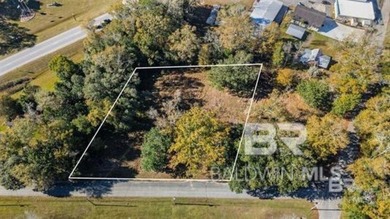 In the heart of Robertsdale, this exceptional offering includes - photo 3