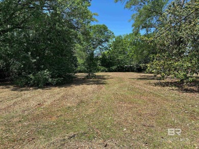 In the heart of Robertsdale, this exceptional offering includes - photo 4