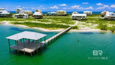 (private lake, pond, coastal) Home For Sale in Gulf Shores Alabama