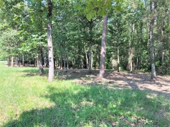 Smith Lake - Stoney Point - Off Water Lot - Lake Lot For Sale in Double Springs, Alabama