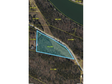 Lake Acreage For Sale in Cape Fair, Missouri