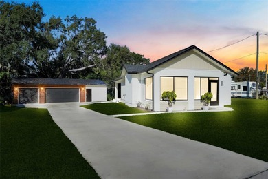 Lake Minneola Home For Sale in Clermont Florida