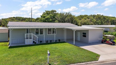 Lake Home For Sale in Tavares, Florida