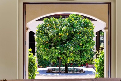 Nestled in a meadow & surrounded by over 21 acres of natural - photo 15