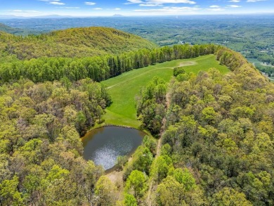 (private lake, pond, creek) Acreage For Sale in Fancy Gap Virginia