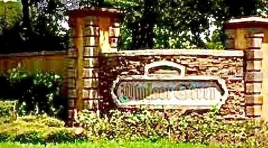 (private lake, pond, creek) Acreage For Sale in Lady Lake Florida