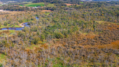 Buffalo County Riverfront Hunting Land for Sale - photo 12