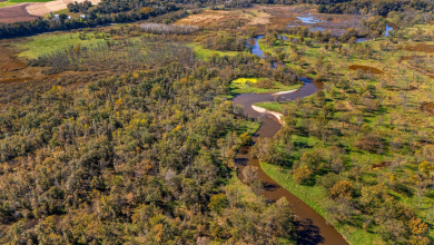 Buffalo County Riverfront Hunting Land for Sale - photo 5