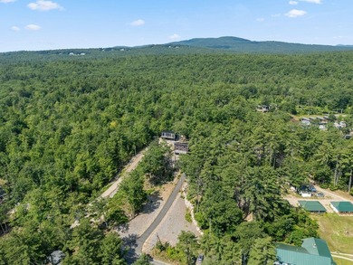 Discover a standout lakeside retreat and investment opportunity - photo 15