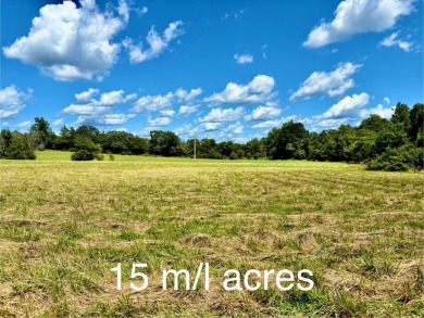 Lake Acreage For Sale in Theodosia, Missouri