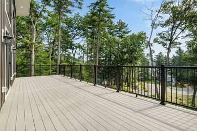 Discover a standout lakeside retreat and investment opportunity - photo 29