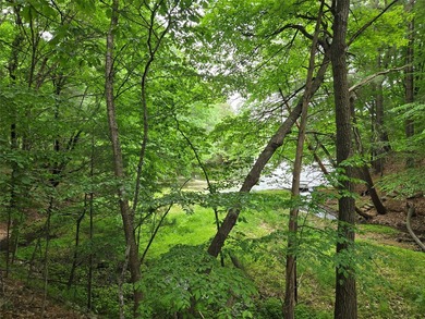 Tainter Lake Acreage For Sale in Menomonie Wisconsin