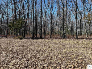 Lake Acreage For Sale in Clinton, Missouri