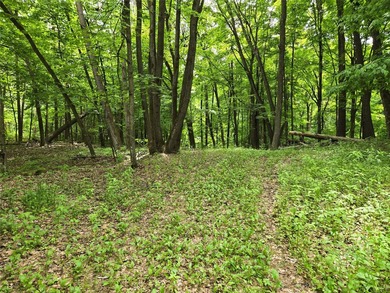 Additional listing photo 4