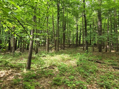 Discover the perfect blend of privacy and natural beauty with - photo 6