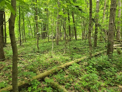 Discover the perfect blend of privacy and natural beauty with - photo 7