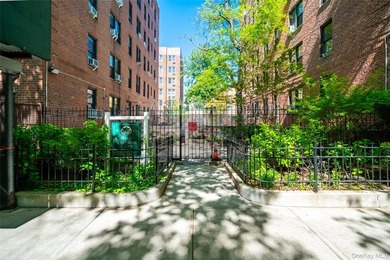 This tremendous 915 sq. ft. true 2BR co-op is situated on a - photo 4