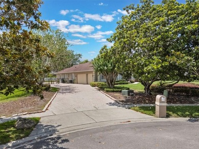 Welcome to 12718 Windermere Isles Place, a spectacular residence - photo 47