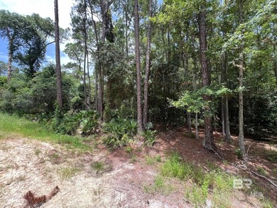 Beautiful lot right off of Ft Morgan Rd. This lot is wooded and - photo 3