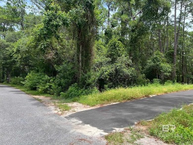 Beautiful lot right off of Ft Morgan Rd. This lot is wooded and - photo 4