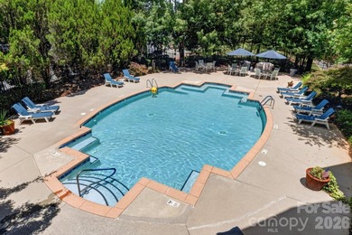 It's all about the view...and this beautifully updated end-unit - photo 5