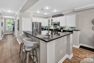 It's all about the view...and this beautifully updated end-unit - photo 7