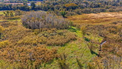 Buffalo County Riverfront Hunting Land for Sale - photo 18
