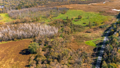 Buffalo County Riverfront Hunting Land for Sale - photo 11