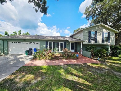 Lake Home For Sale in Lutz, Florida