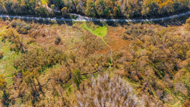 Buffalo County Riverfront Hunting Land for Sale - photo 14
