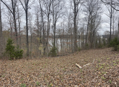 .64 Acre Lake Cumberland View Building Lot - photo 2