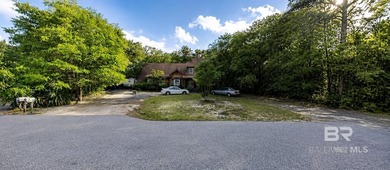 Opportunity awaits in an exceptional Gulf Shores location - photo 1