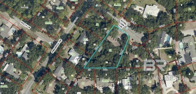 Opportunity awaits in an exceptional Gulf Shores location - photo 2