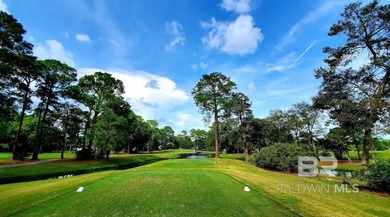 Opportunity awaits in an exceptional Gulf Shores location - photo 4