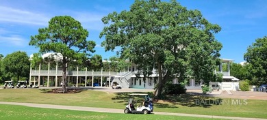 Opportunity awaits in an exceptional Gulf Shores location - photo 5
