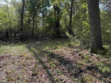 Lake Acreage For Sale in Flippin, Arkansas