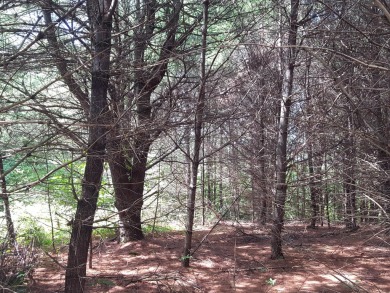 Long Lake - Cumberland County Lot For Sale in Naples Maine