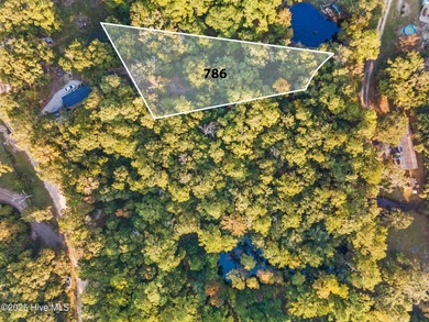 (private lake, pond, coastal) Lot For Sale in Bolivia North Carolina