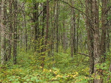 Horseshoe Lake - Crow Wing County Acreage Active Under Contract in Mission Twp Minnesota