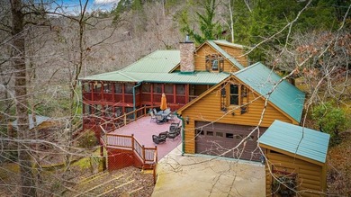 Cartecay River - Gilmer County Home For Sale in Ellijay Georgia