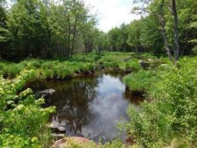 Lake Acreage For Sale in Howland, Maine